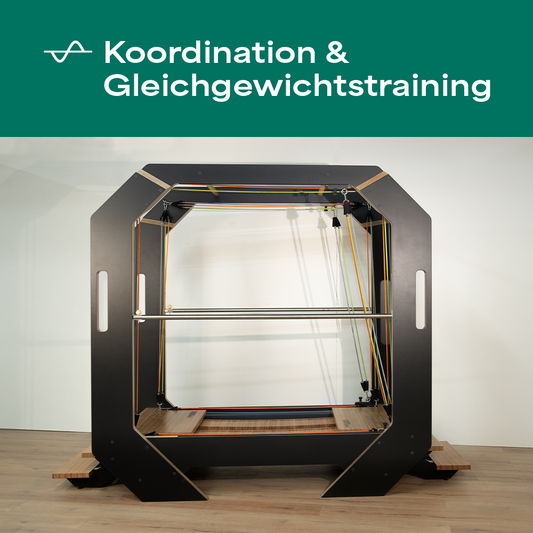 HARMONY für Praxen XL - KOORDIwood + WOODwave PRO