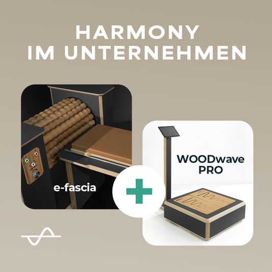HARMONY im Unternehmen - e-fascia + WOODwave PRO